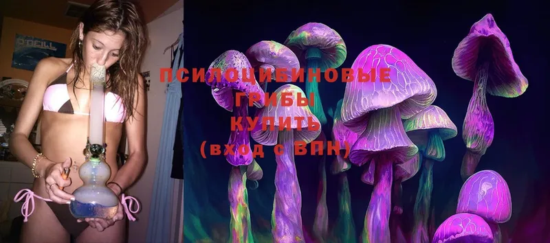 Псилоцибиновые грибы Psilocybine cubensis  Орлов 